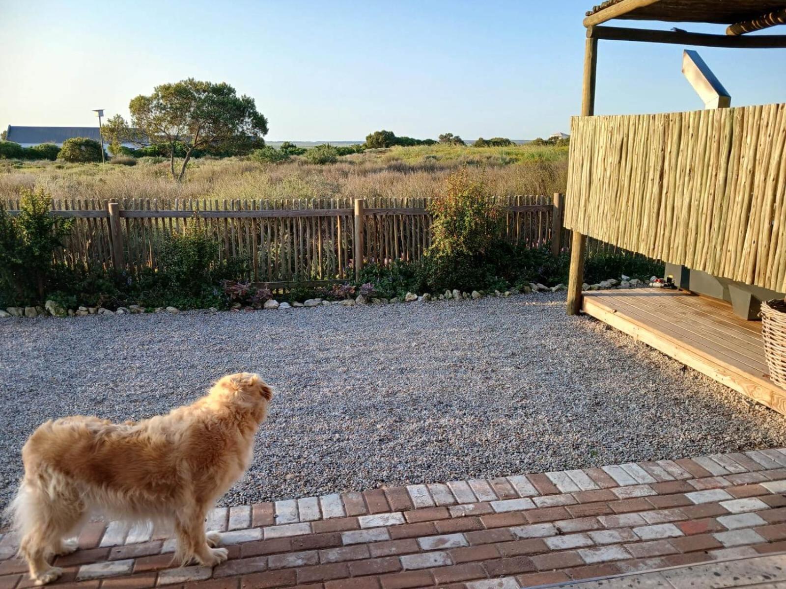 Camelot Cottages ลางเงอบาน ภายนอก รูปภาพ