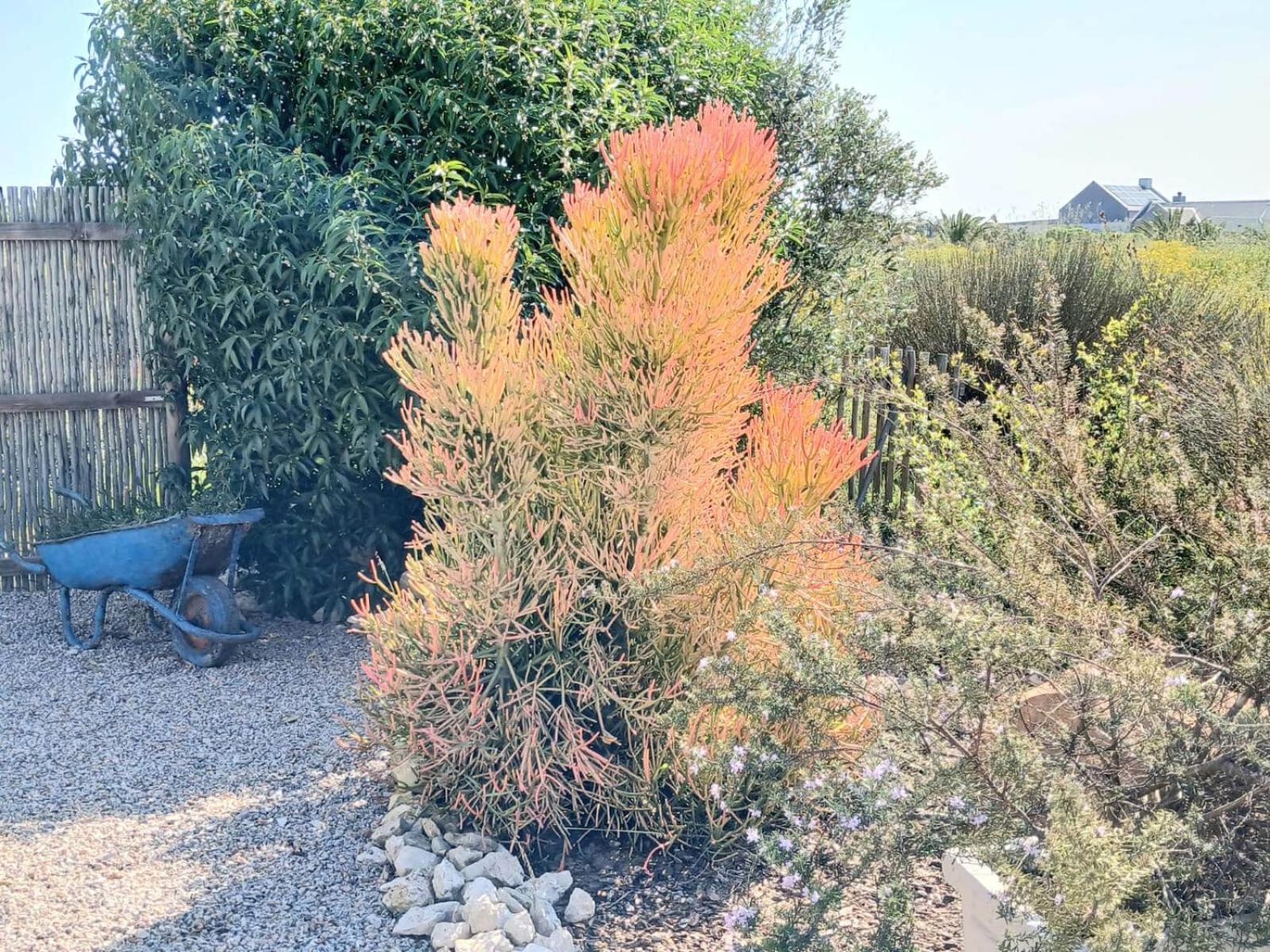 Camelot Cottages ลางเงอบาน ภายนอก รูปภาพ